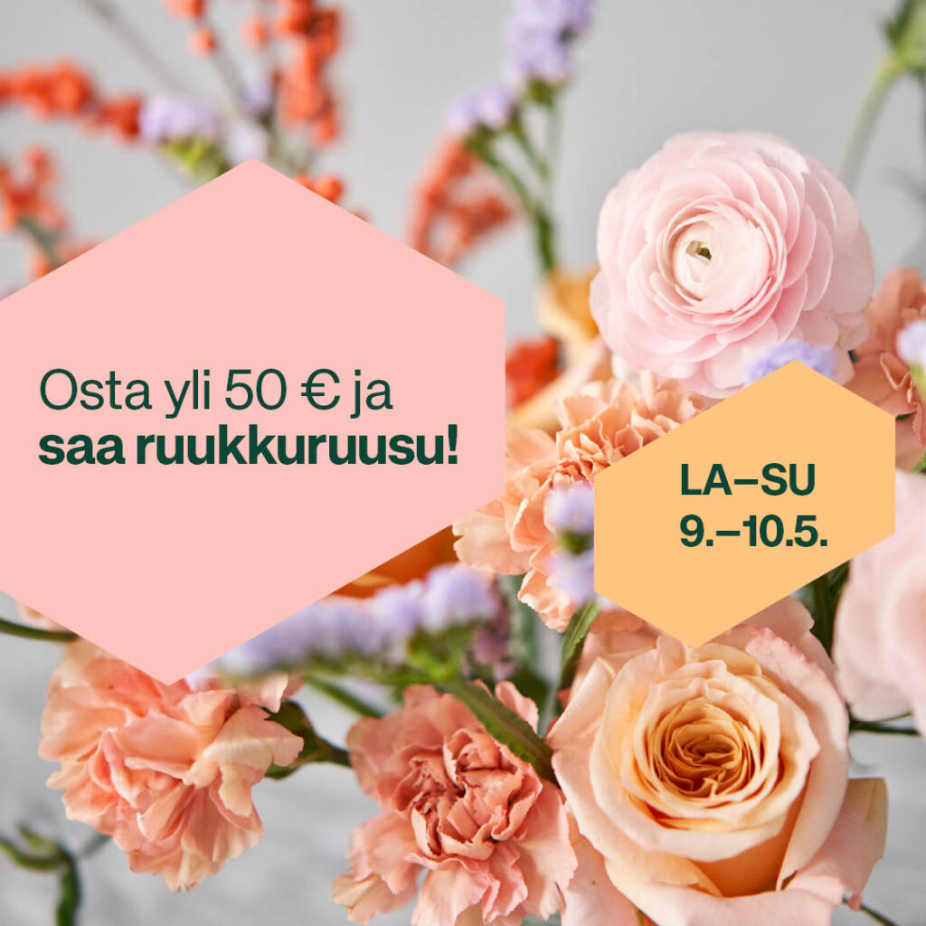 Äitienpäivän ruukkuruusu