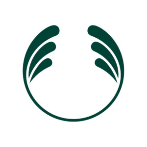 chainels-111774962425321351-logo