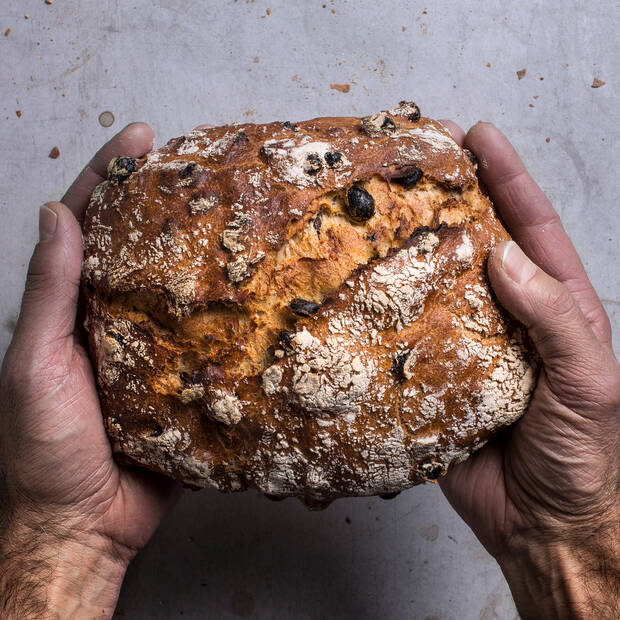 Gateau-aprikoosi-pähkinä-leipä-G5228